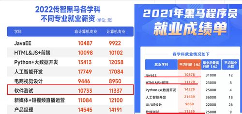 軟件開發(fā)與軟件測(cè)試 如何選擇適合你的網(wǎng)絡(luò)技術(shù)服務(wù)職業(yè)道路？