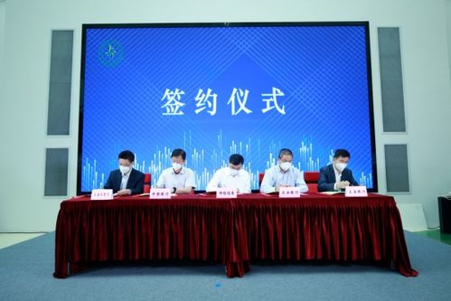 零碳驅動，節能高效 上海發布綠色發展新舉措